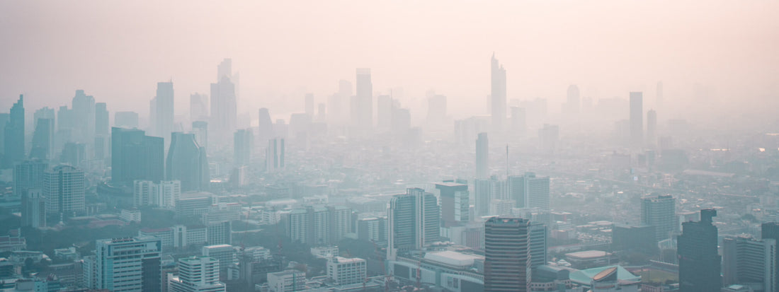 particulate matter
