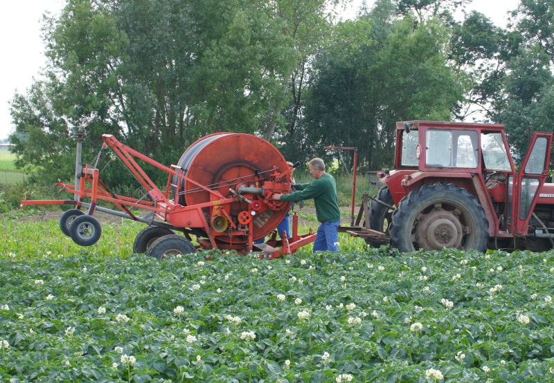Farmer in a field