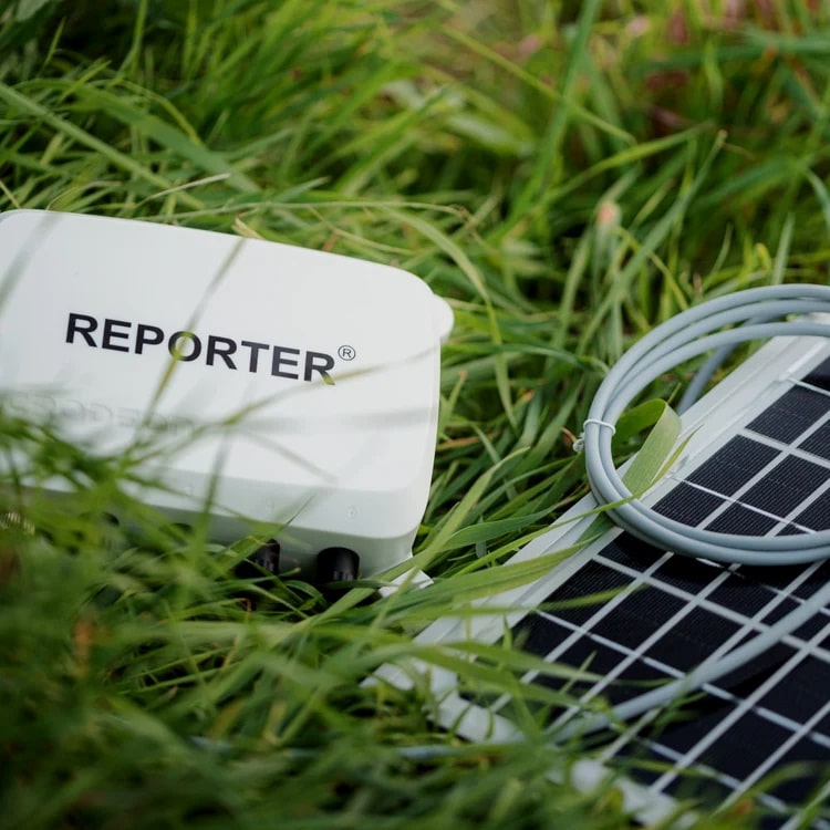 Reporter in grass
