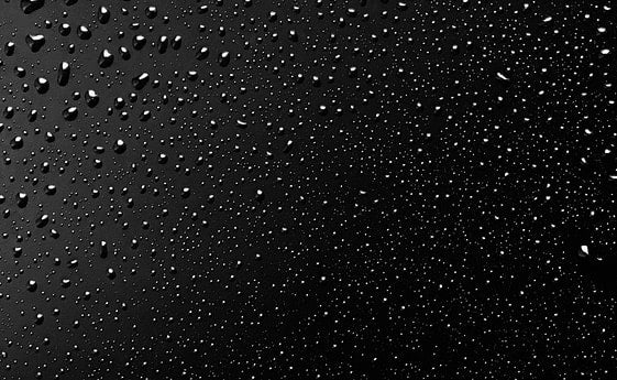 dew drops on a black background