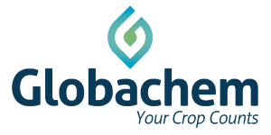Globachem