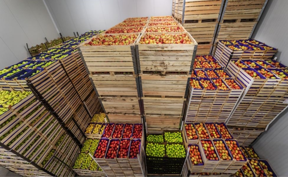 a cold room filled with fresh produce like fruit and vegetables