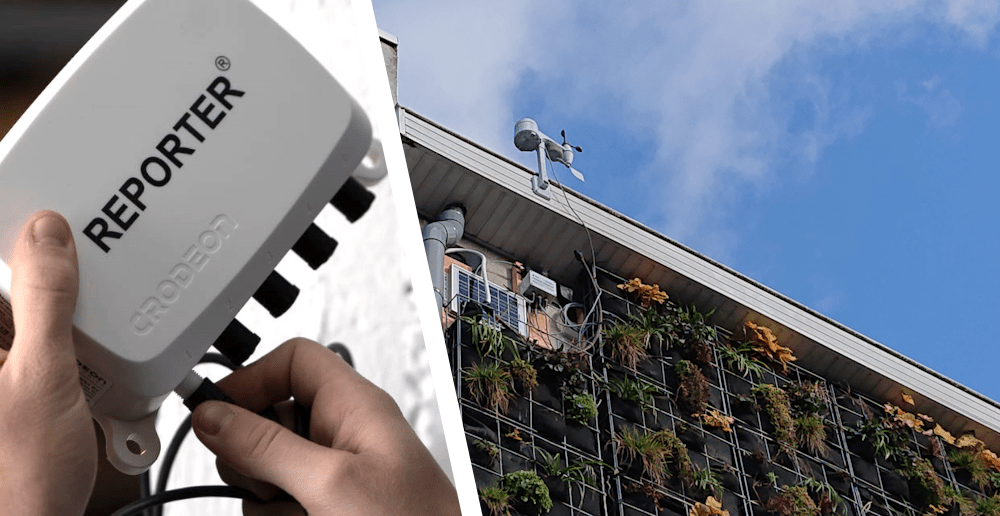 Green Wall Monitoring: waarom een groene muur slimme tuinsensoren nodig heeft