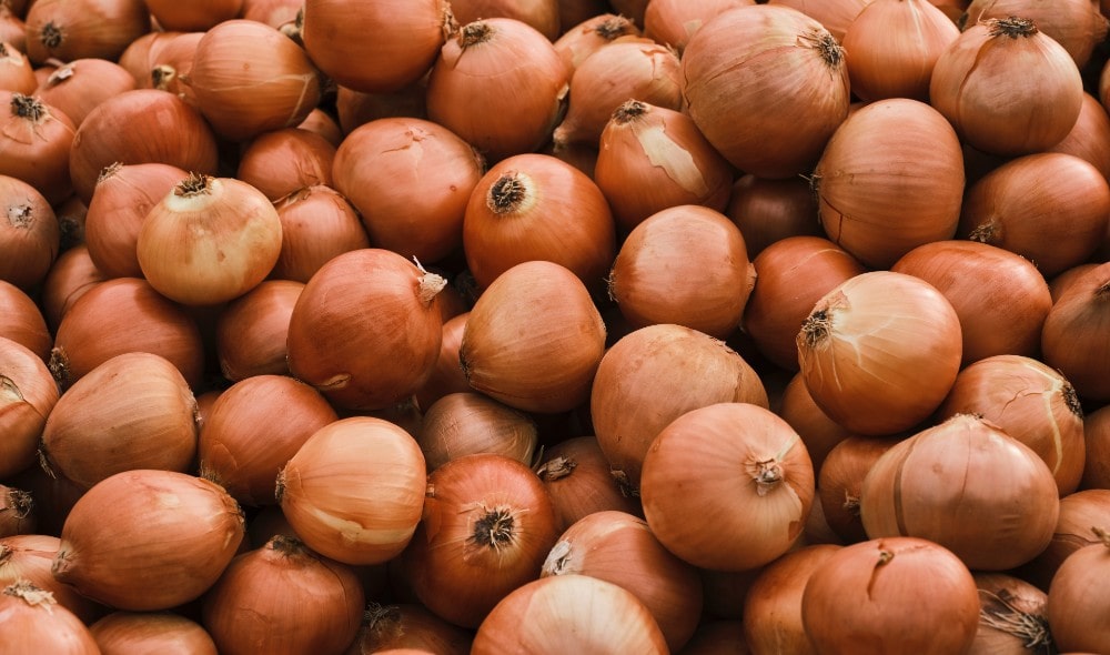 How Bert gets the best deal for his onions by using a smart storage system