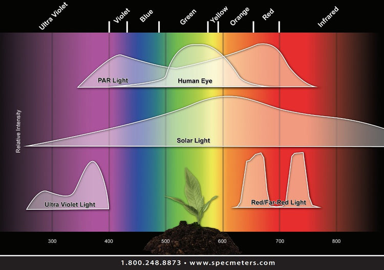 PAR & plants, is it the right light sensor for you? – Crodeon