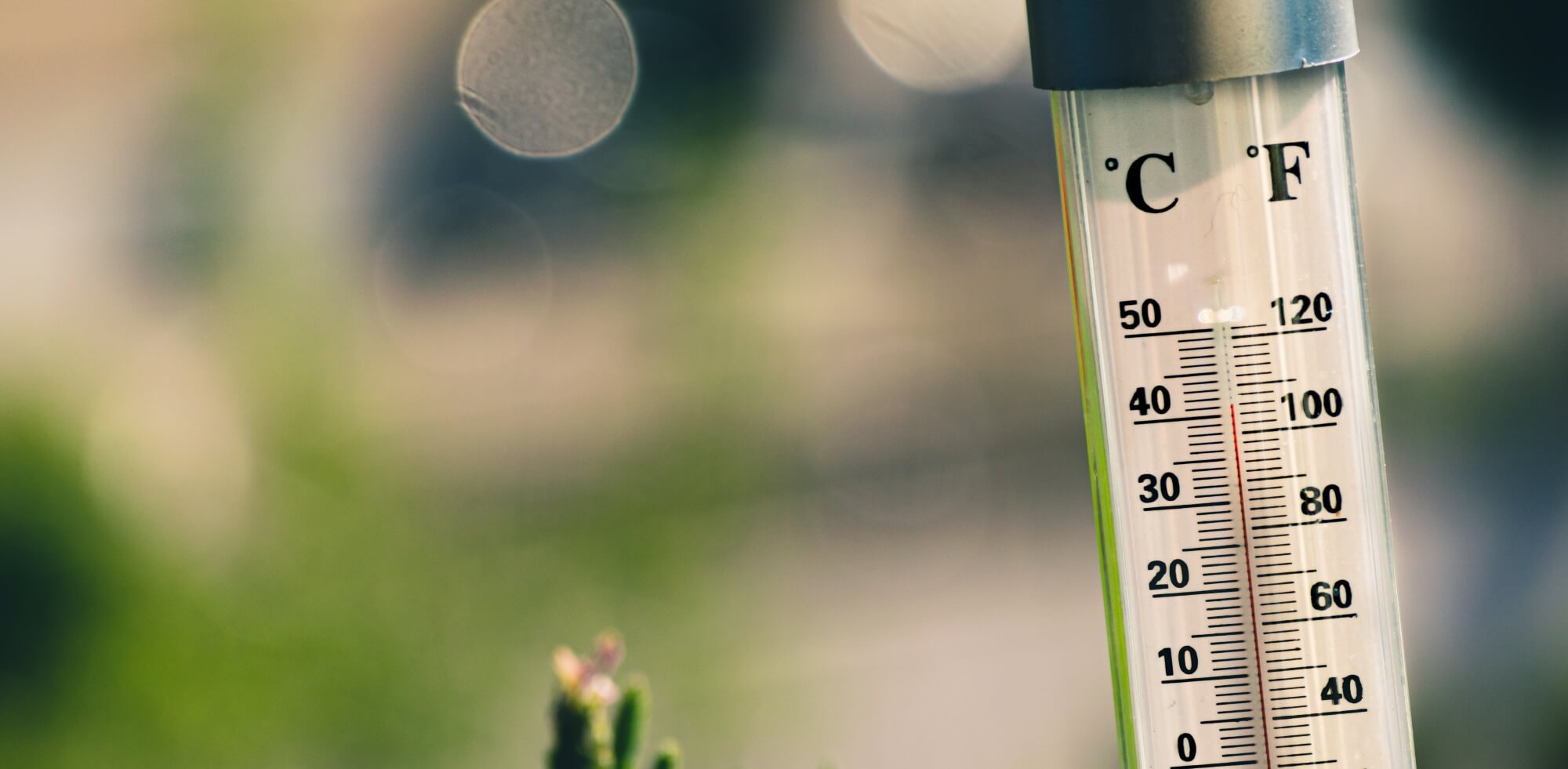 How to measure Dew Point and Wet Bulb temperature