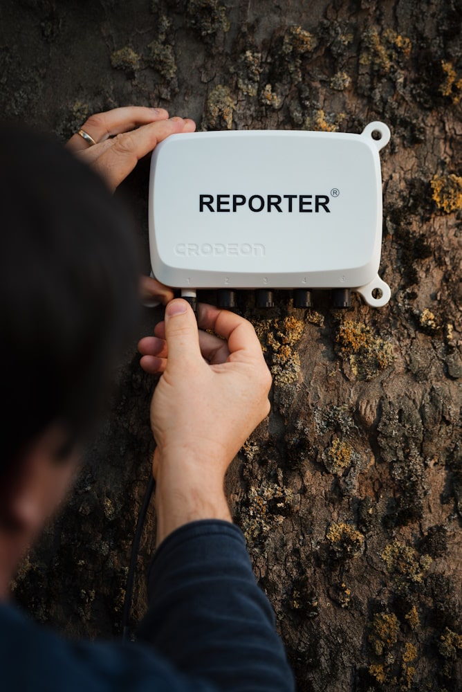 Reporter mounted on a tree