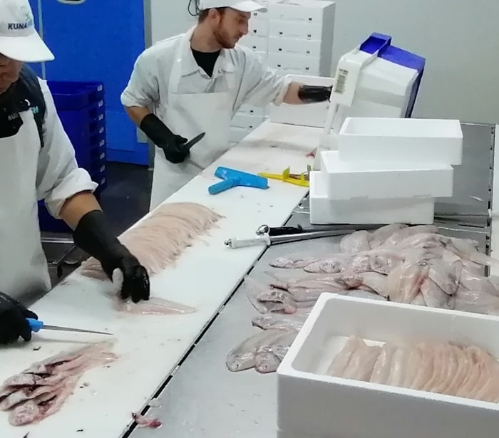 fish filleting at KuNa Fish