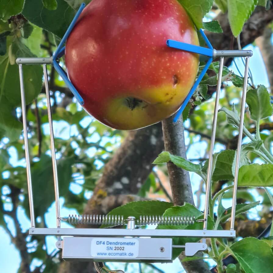 Dendrometer Types Dendrometer – Crodeon