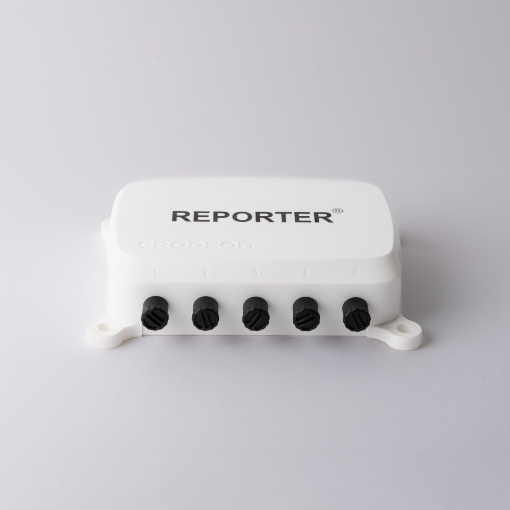 Reporter